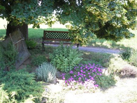 A l'ombre du tilleul